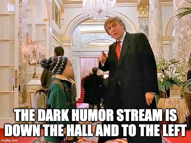 Trump Home Alone | THE DARK HUMOR STREAM IS DOWN THE HALL AND TO THE LEFT | image tagged in trump home alone | made w/ Imgflip meme maker