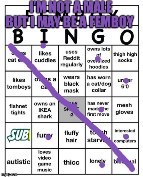 Femboy Bingo | I’M NOT A MALE BUT I MAY BE A FEMBOY | image tagged in femboy bingo | made w/ Imgflip meme maker
