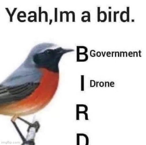birb | image tagged in bird | made w/ Imgflip meme maker