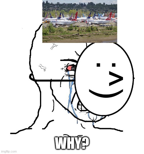 B737 max groundings | WHY? | image tagged in pretending to be happy hiding crying behind a mask | made w/ Imgflip meme maker