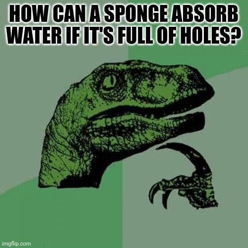 I don't know how a sponge can absorb | HOW CAN A SPONGE ABSORB WATER IF IT'S FULL OF HOLES? | image tagged in memes,philosoraptor | made w/ Imgflip meme maker