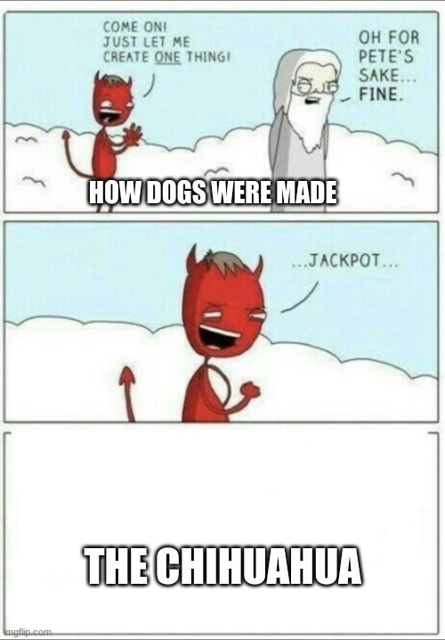 dog | HOW DOGS WERE MADE; THE CHIHUAHUA | image tagged in let me create one thing | made w/ Imgflip meme maker
