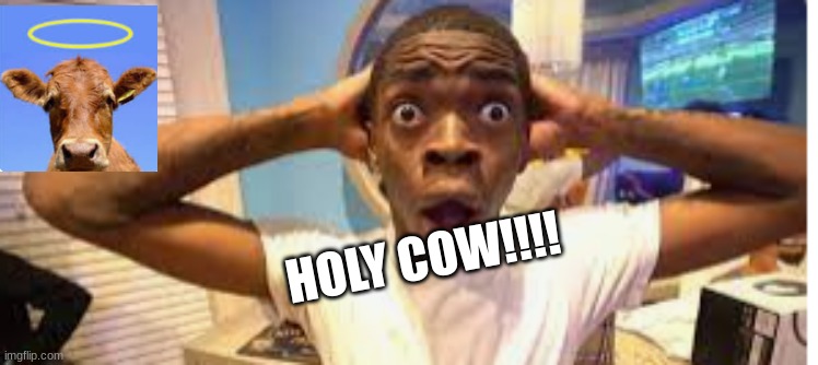 holy cow | HOLY COW!!!! | image tagged in cow | made w/ Imgflip meme maker
