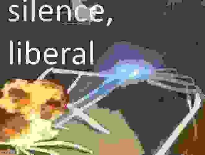 Crab shooting lasers and saying "silence liberal" | image tagged in crab shooting lasers and saying silence liberal | made w/ Imgflip meme maker