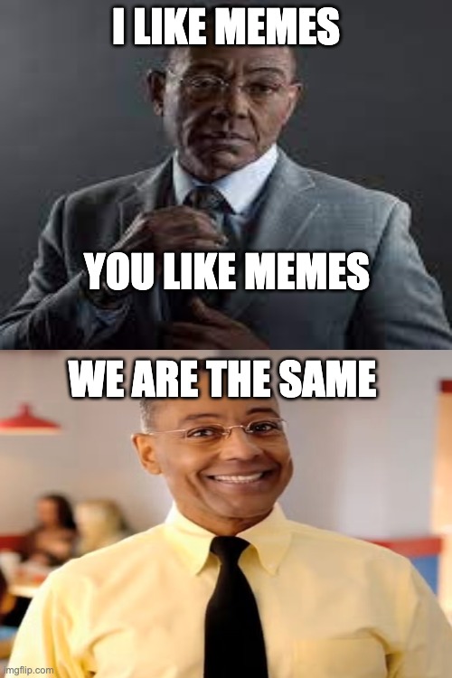 We are the same | I LIKE MEMES; YOU LIKE MEMES; WE ARE THE SAME | image tagged in breaking bad,gus fring we are not the same,funny memes | made w/ Imgflip meme maker