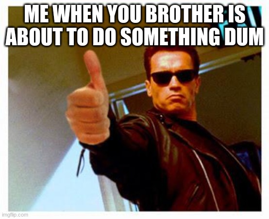 terminator thumbs up | ME WHEN YOU BROTHER IS ABOUT TO DO SOMETHING DUM | image tagged in terminator thumbs up | made w/ Imgflip meme maker