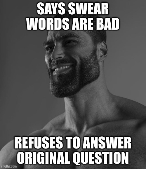 Giga Chad | SAYS SWEAR WORDS ARE BAD REFUSES TO ANSWER ORIGINAL QUESTION | image tagged in giga chad | made w/ Imgflip meme maker