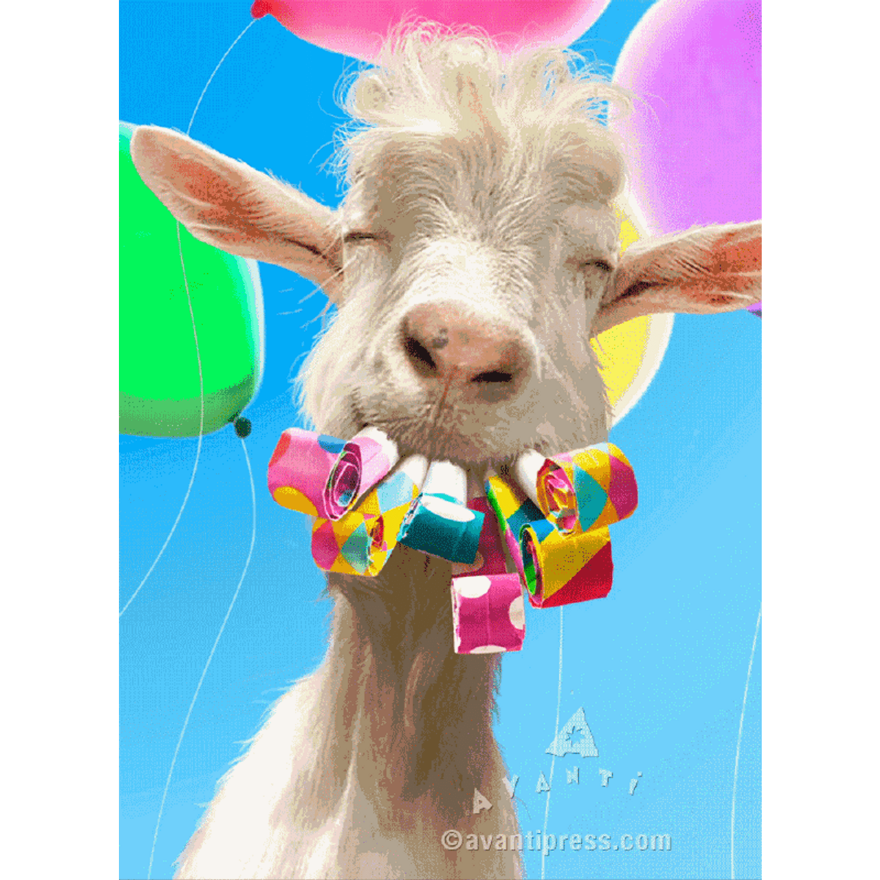 High Quality Goat Birthday Blank Meme Template