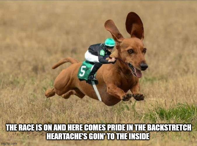 THE RACE IS ON AND HERE COMES PRIDE IN THE BACKSTRETCH
HEARTACHE'S GOIN' TO THE INSIDE | image tagged in durl earl | made w/ Imgflip meme maker
