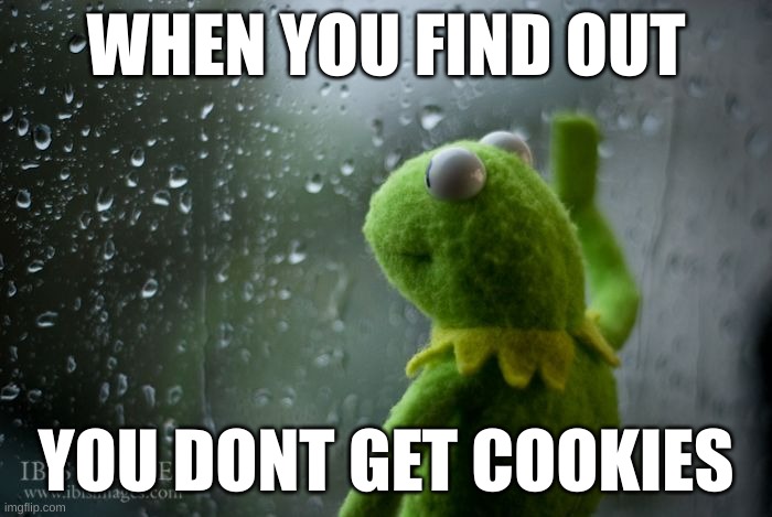 my little cousin made this and I am forced to publish it help he's not letting me out | WHEN YOU FIND OUT; YOU DONT GET COOKIES | image tagged in kermit window | made w/ Imgflip meme maker