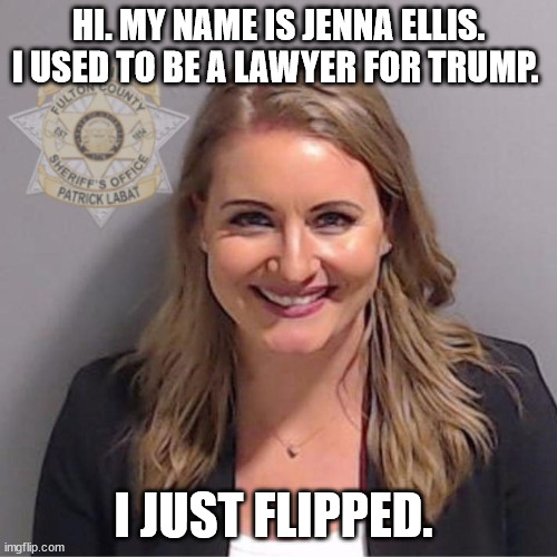 Another one falls. She got 5 year probation, and pays $5,000 in restitution. | HI. MY NAME IS JENNA ELLIS. I USED TO BE A LAWYER FOR TRUMP. I JUST FLIPPED. | made w/ Imgflip meme maker