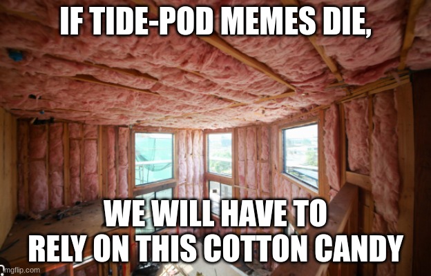 cotton candy | IF TIDE-POD MEMES DIE, WE WILL HAVE TO RELY ON THIS COTTON CANDY | image tagged in cotton candy,tide pods | made w/ Imgflip meme maker