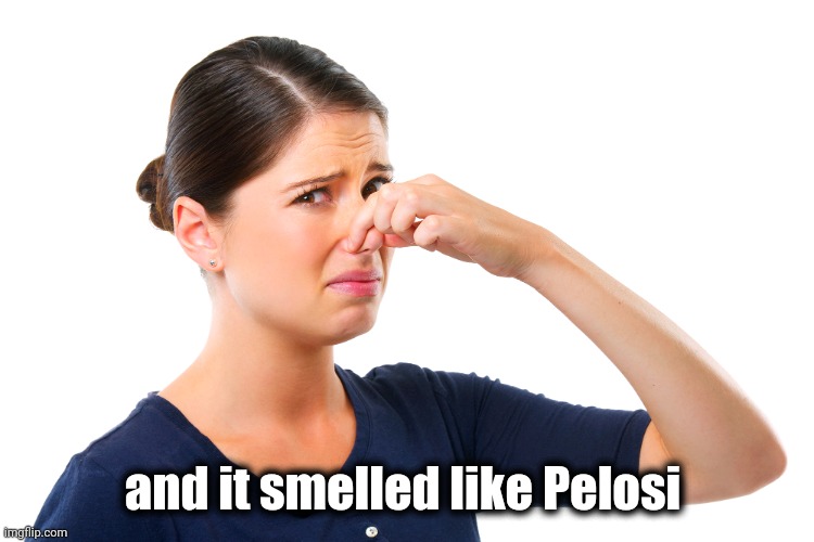 woman holding her nose | and it smelled like Pelosi | image tagged in woman holding her nose | made w/ Imgflip meme maker