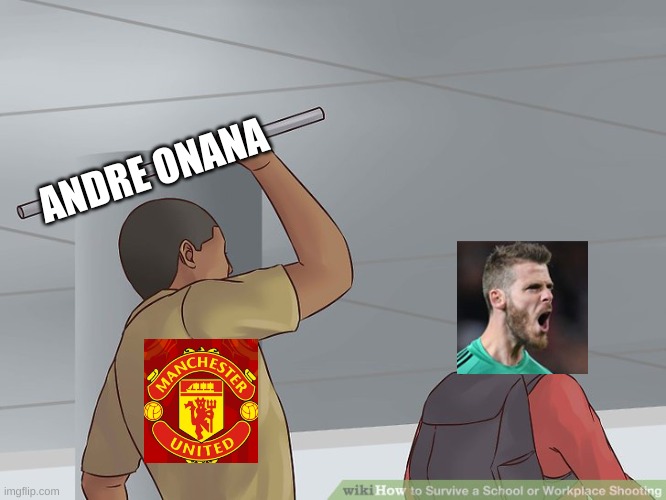 signing onana | ANDRE ONANA | image tagged in wikihow hit with a bar | made w/ Imgflip meme maker