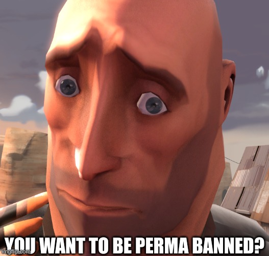 No Bitches? Heavy TF2 | YOU WANT TO BE PERMA BANNED? | image tagged in no bitches heavy tf2 | made w/ Imgflip meme maker