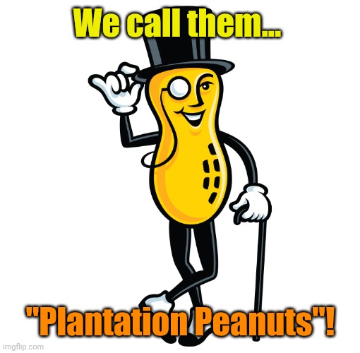 Like A Sir | We call them... "Plantation Peanuts"! | image tagged in like a sir | made w/ Imgflip meme maker