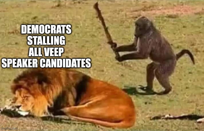 Drunk Monkeys | DEMOCRATS STALLING ALL VEEP SPEAKER CANDIDATES | image tagged in drunk monkey,democrats,wake up,sleeping,giants | made w/ Imgflip meme maker