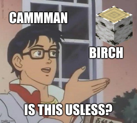 Camman is this birch | CAMMMAN; BIRCH; IS THIS USLESS? | image tagged in memes,is this a pigeon | made w/ Imgflip meme maker
