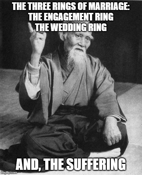 Wise Master | THE THREE RINGS OF MARRIAGE:
THE ENGAGEMENT RING
THE WEDDING RING AND, THE SUFFERING | image tagged in wise master | made w/ Imgflip meme maker