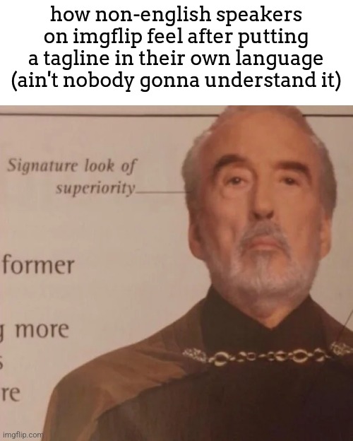 Signature Look of superiority | how non-english speakers on imgflip feel after putting a tagline in their own language (ain't nobody gonna understand it) | image tagged in signature look of superiority | made w/ Imgflip meme maker