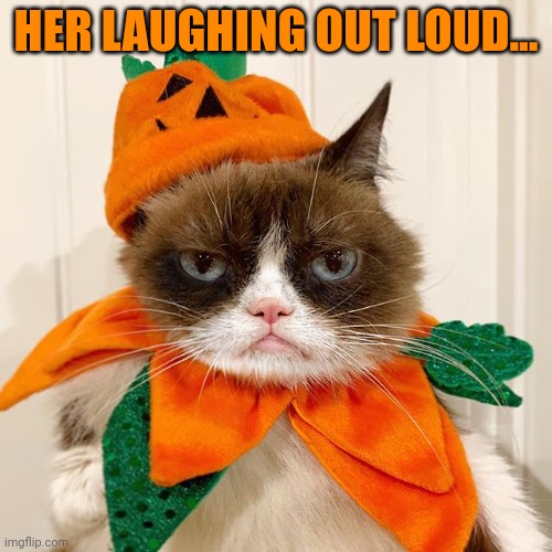 Grumpy Cat Halloween | HER LAUGHING OUT LOUD... | image tagged in grumpy cat halloween | made w/ Imgflip meme maker
