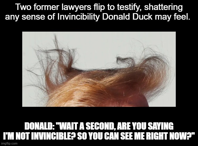 Invincibility | Two former lawyers flip to testify, shattering any sense of Invincibility Donald Duck may feel. DONALD: "WAIT A SECOND, ARE YOU SAYING I'M NOT INVINCIBLE? SO YOU CAN SEE ME RIGHT NOW?" | image tagged in blank black,pun,invincible,lawyers | made w/ Imgflip meme maker