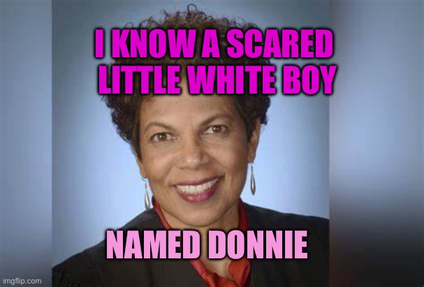 Tanya Chutkan | I KNOW A SCARED 
LITTLE WHITE BOY; NAMED DONNIE | image tagged in tanya chutkan | made w/ Imgflip meme maker