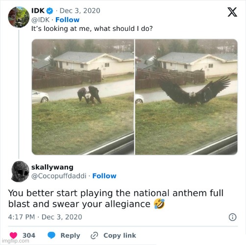 Damn that's a big eagle | made w/ Imgflip meme maker