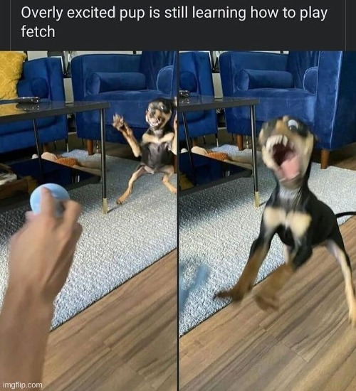 I love the faces | made w/ Imgflip meme maker