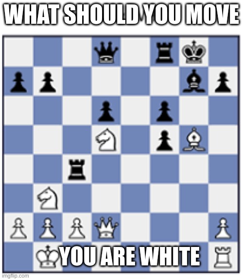 chess puzzle | WHAT SHOULD YOU MOVE; YOU ARE WHITE | image tagged in chess puzzle | made w/ Imgflip meme maker