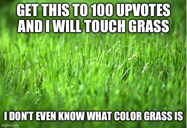 Grass be yellow | GET THIS TO 100 UPVOTES AND I WILL TOUCH GRASS; I DON’T EVEN KNOW WHAT COLOR GRASS IS | image tagged in grass is greener | made w/ Imgflip meme maker