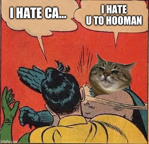 Meow | I HATE CA…; I HATE U TO HOOMAN | image tagged in stepanman slapping robin | made w/ Imgflip meme maker