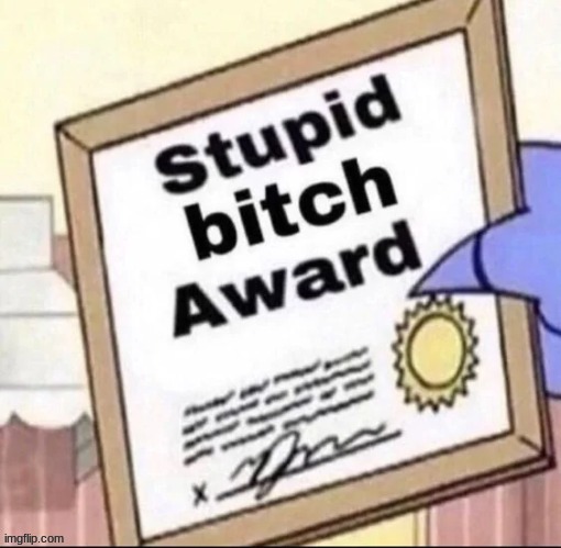 Stupid bitch award | image tagged in stupid bitch award | made w/ Imgflip meme maker