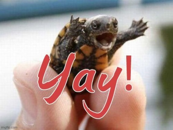 Yay! | image tagged in yay | made w/ Imgflip meme maker