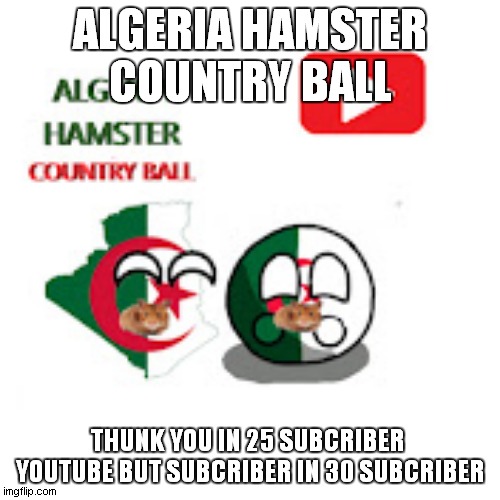 algeria hamster country ball in 25 subcriber in youtube please subcribe in my channel in algeria hamster country ball in 30 subc | ALGERIA HAMSTER COUNTRY BALL; THUNK YOU IN 25 SUBCRIBER 
YOUTUBE BUT SUBCRIBER IN 30 SUBCRIBER | image tagged in algeria hamster country ball | made w/ Imgflip meme maker