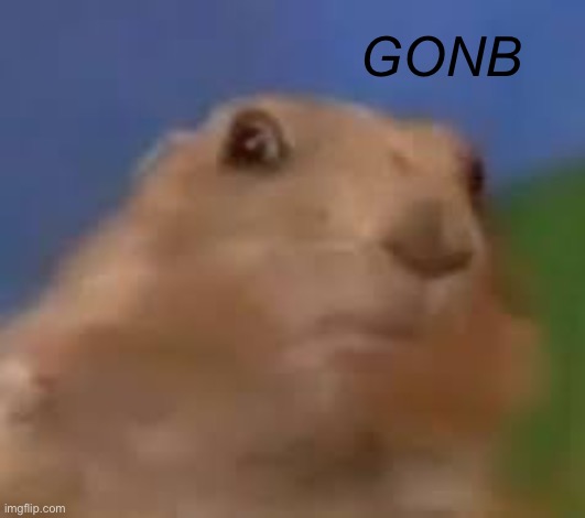 Gonb | GONB | made w/ Imgflip meme maker