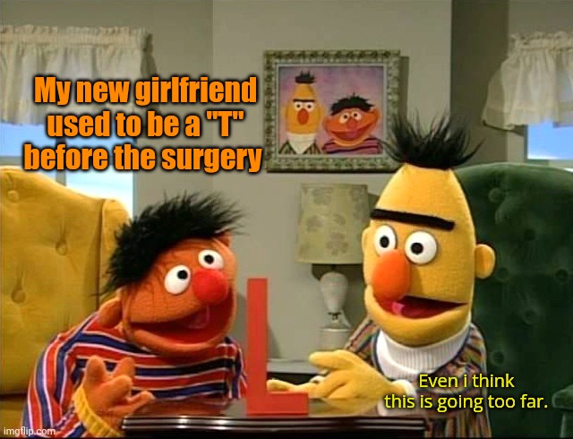 Stop it. Get some help | My new girlfriend used to be a "T" before the surgery; Even i think this is going too far. | image tagged in stop it get some help,sesame street | made w/ Imgflip meme maker
