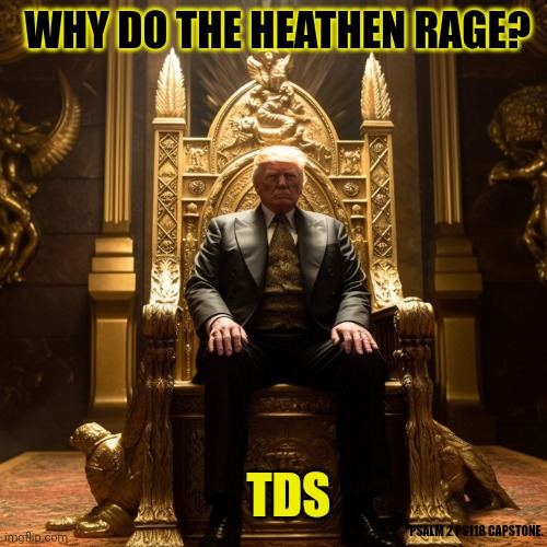 Need me to Mansplain IT to you? PS.118  #TDS | WHY DO THE HEATHEN RAGE? TDS; PSALM 2 PS118 CAPSTONE. | image tagged in why do the heathen rage,donald trump,jesus christ,the lion king,top gear,the great awakening | made w/ Imgflip meme maker
