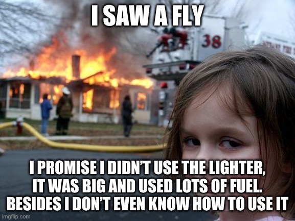 Ain’t going to lie who did it | I SAW A FLY; I PROMISE I DIDN’T USE THE LIGHTER, IT WAS BIG AND USED LOTS OF FUEL. BESIDES I DON’T EVEN KNOW HOW TO USE IT | image tagged in memes,disaster girl | made w/ Imgflip meme maker