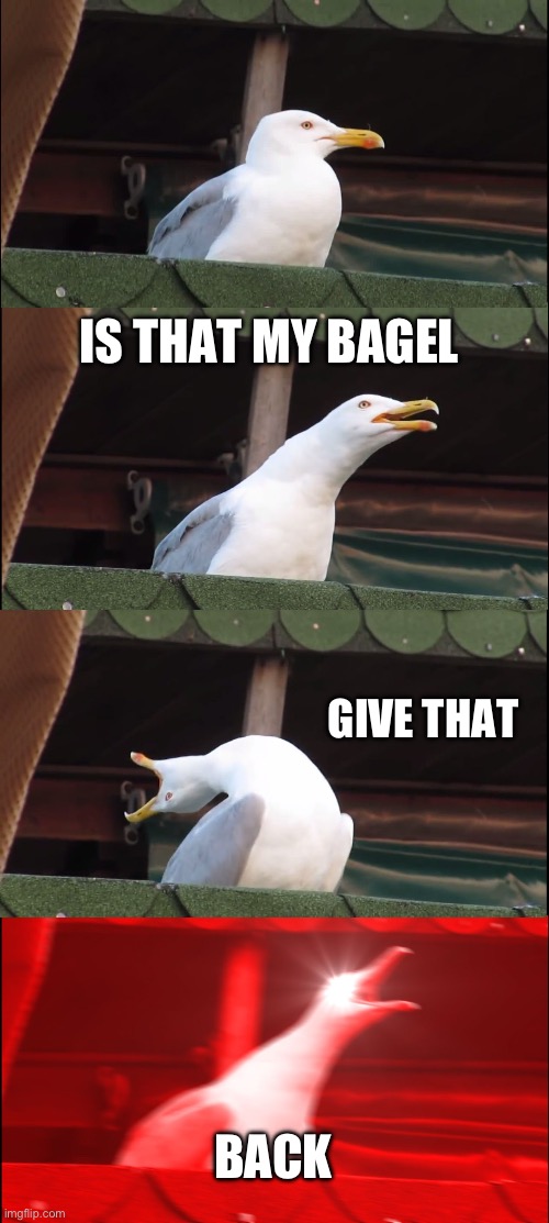 Give bagel back | IS THAT MY BAGEL; GIVE THAT; BACK | image tagged in memes,inhaling seagull | made w/ Imgflip meme maker