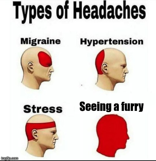 Types of Headaches meme | Seeing a furry | made w/ Imgflip meme maker