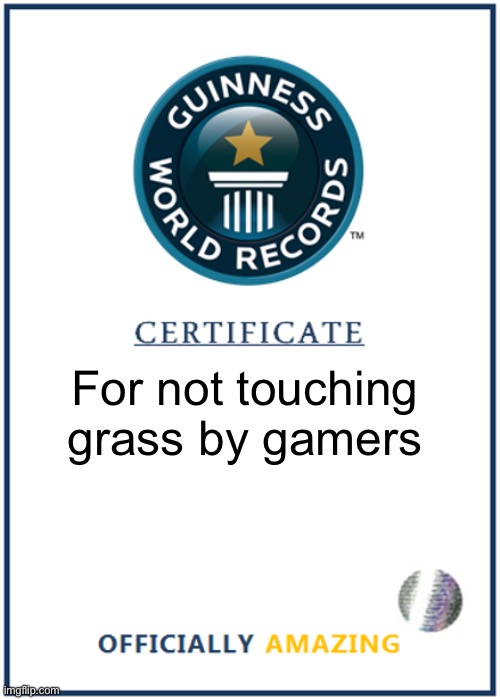For not touching grass by gamers | image tagged in blank world record certificate,touch grass | made w/ Imgflip meme maker