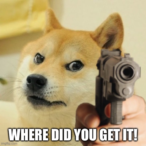 Doge holding a gun | WHERE DID YOU GET IT! | image tagged in doge holding a gun | made w/ Imgflip meme maker