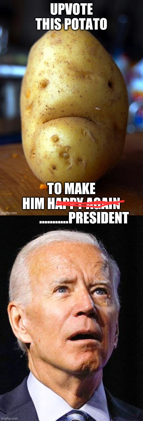 P | ...........PRESIDENT | image tagged in potato 1 upvote happy,joe biden | made w/ Imgflip meme maker