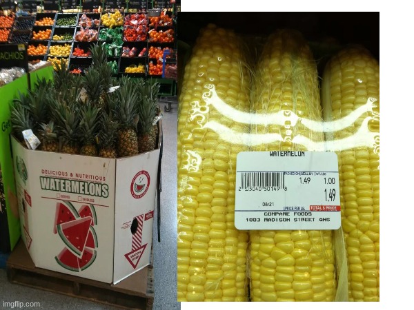 wow thats a nice looking pine-corn-mellons | image tagged in shut up and take my money fry,you had one job just the one,whoppe,help-the-store-employes | made w/ Imgflip meme maker
