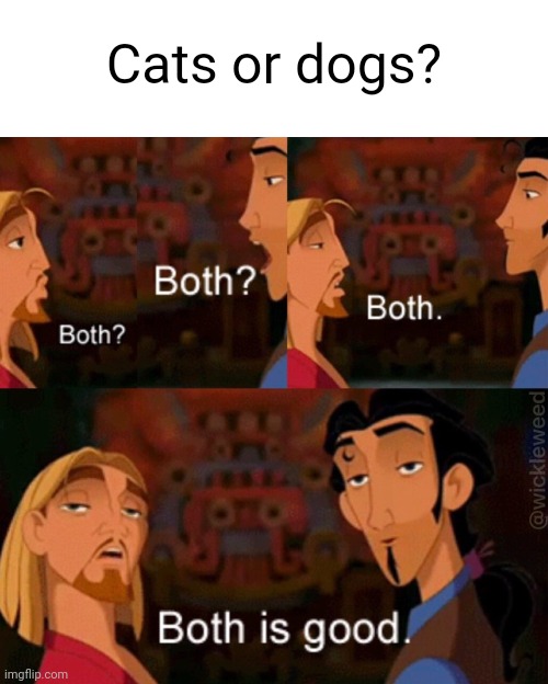 Both is good | Cats or dogs? | image tagged in both is good,cats,dogs,pets | made w/ Imgflip meme maker