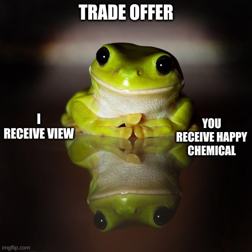 trade offer frog :) | TRADE OFFER; YOU RECEIVE HAPPY CHEMICAL; I RECEIVE VIEW | image tagged in trade offer frog,froge,frog,cute | made w/ Imgflip meme maker