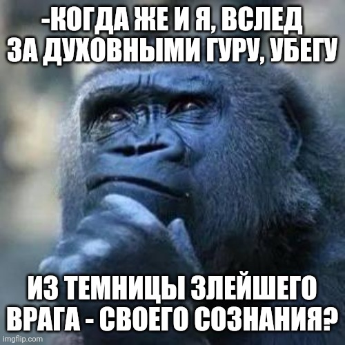 -Run this empty house. | -КОГДА ЖЕ И Я, ВСЛЕД ЗА ДУХОВНЫМИ ГУРУ, УБЕГУ; ИЗ ТЕМНИЦЫ ЗЛЕЙШЕГО ВРАГА - СВОЕГО СОЗНАНИЯ? | image tagged in thinking ape,that moment when,never gonna run around,change my mind,enemy,good question | made w/ Imgflip meme maker