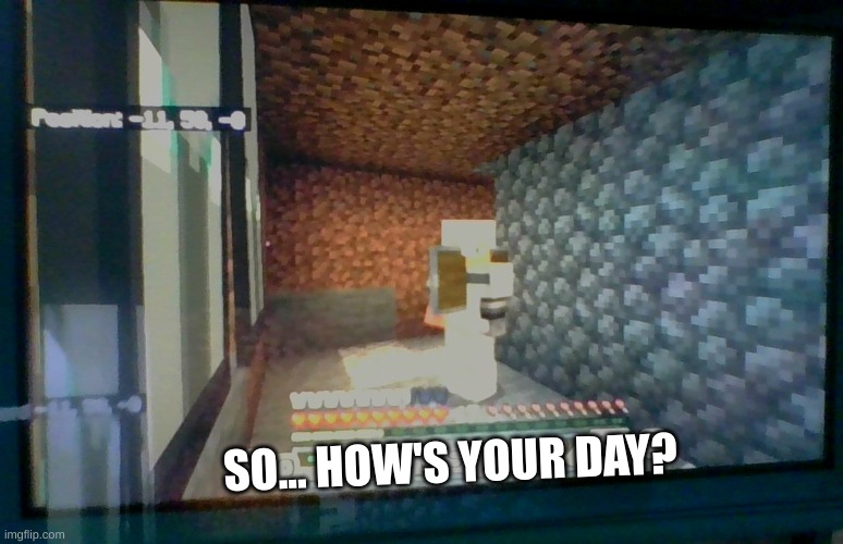SO... HOW'S YOUR DAY? | image tagged in minecraft memes | made w/ Imgflip meme maker