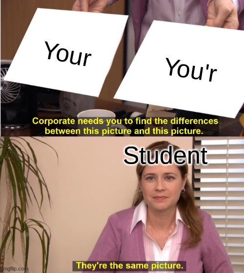 School writing be like: | Your; You'r; Student | image tagged in memes,they're the same picture | made w/ Imgflip meme maker